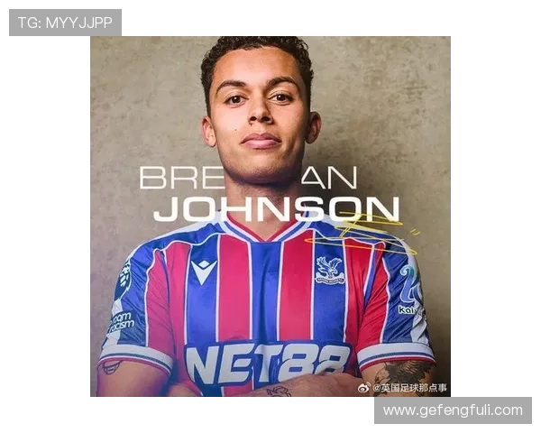官方宣布水晶宫签下热刺前锋布伦南约翰逊转会费3350万镑